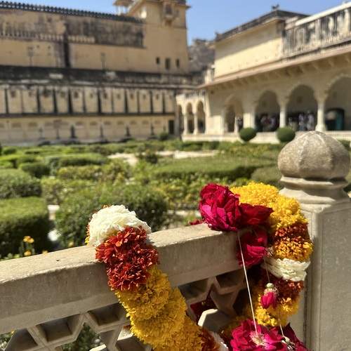 Фотография #13437054