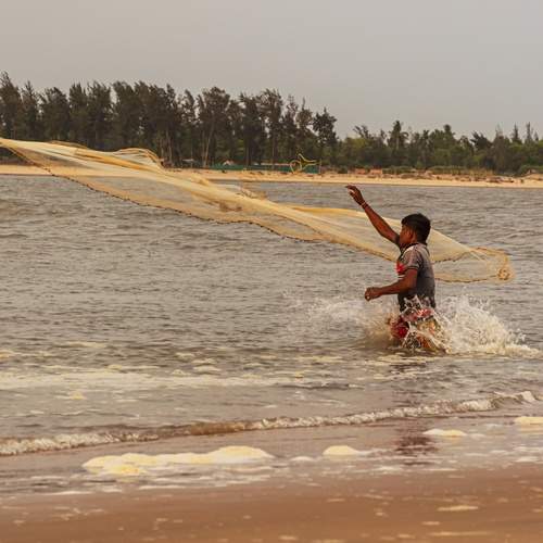 Photo #13437087