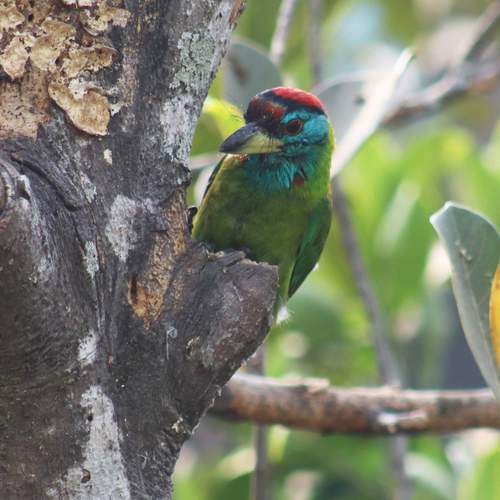 Photo #13437326