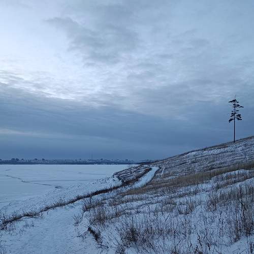 Photo #13437361