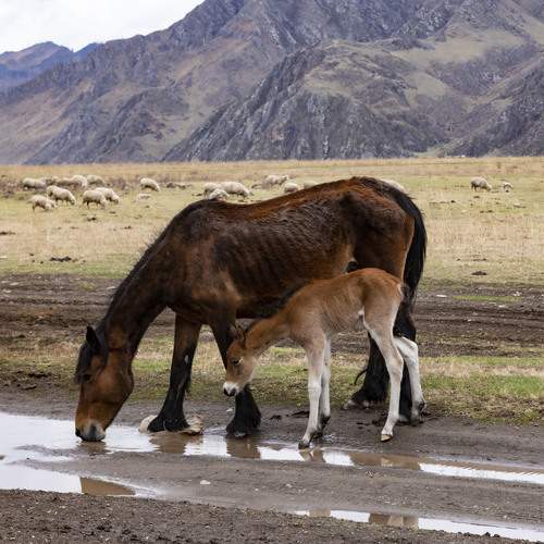Photo #13437371
