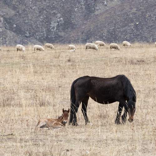 Photo #13437375