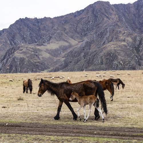 Photo #13437382