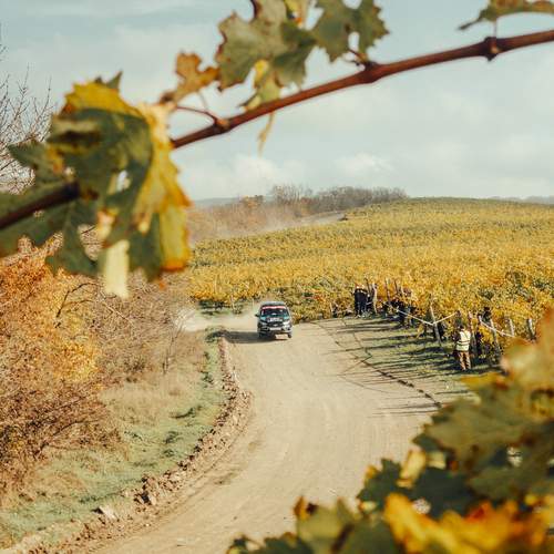 Photo #13437396