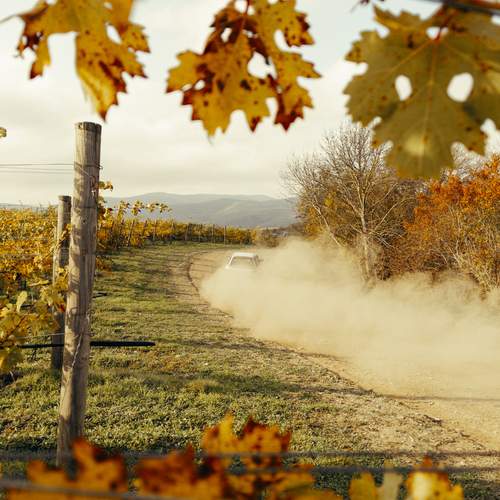 Photo #13437397