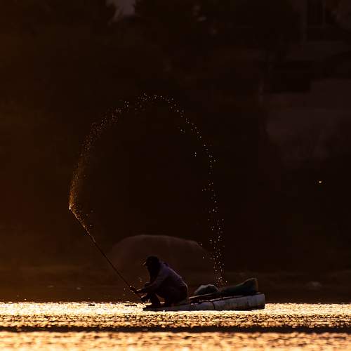 Фотография #13437512