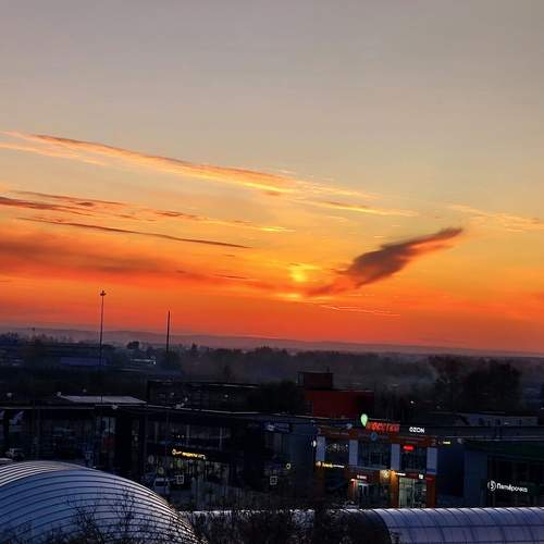 Photo #13437519