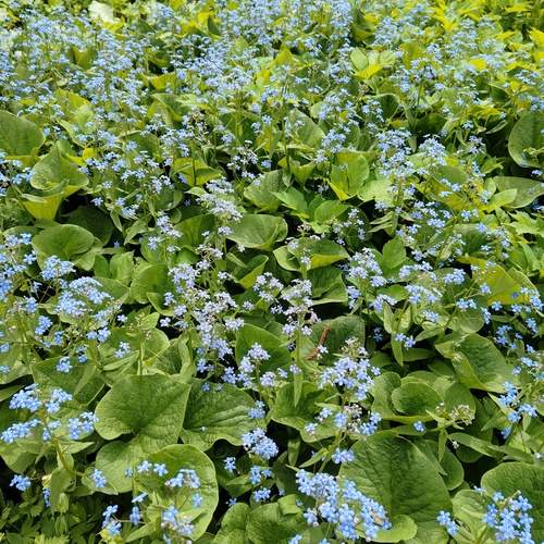 Photo #13437677