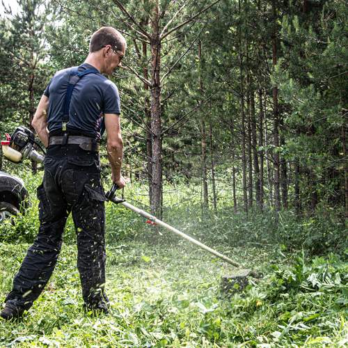 Photo #13437958