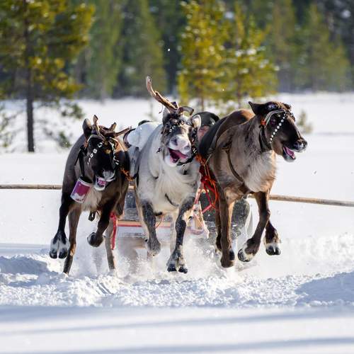 Photo #13438075