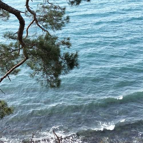 Photo #13438183