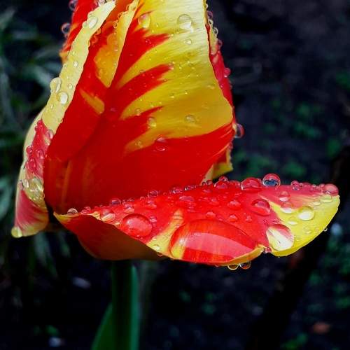 Photo #13438653