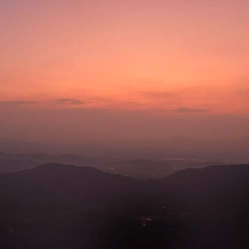 Photo #13438799