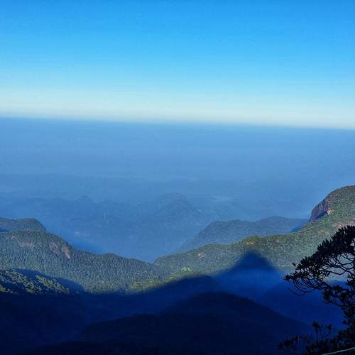 Photo #13438800