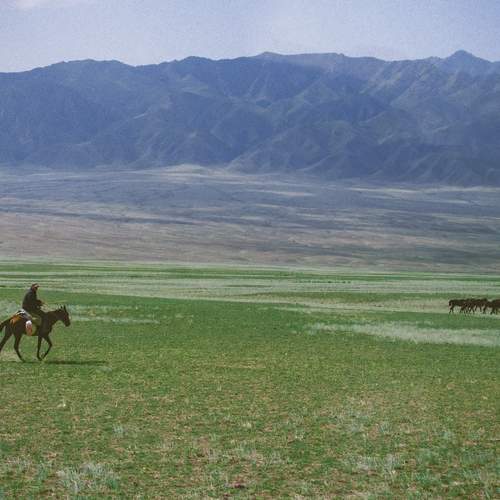 Photo #13438842