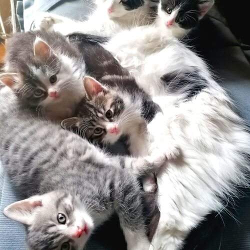 Photo #13438869