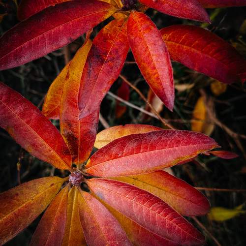 Photo #13438993