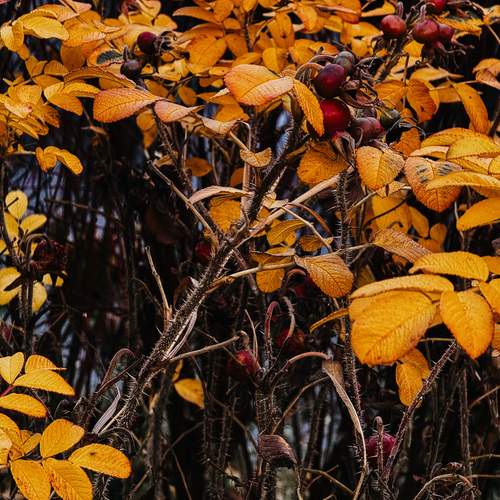 Photo #13438996