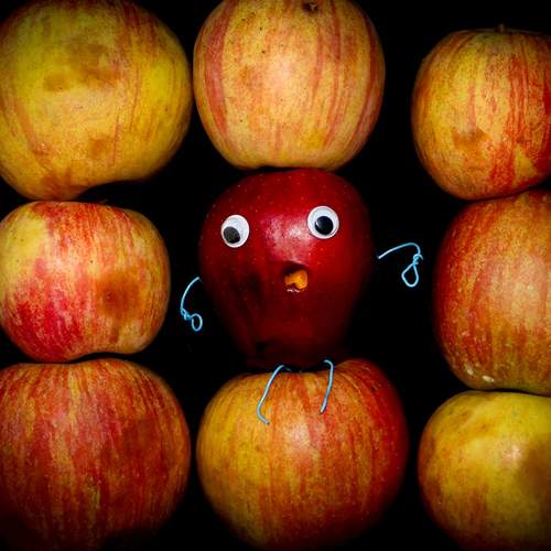 Photo #13439009