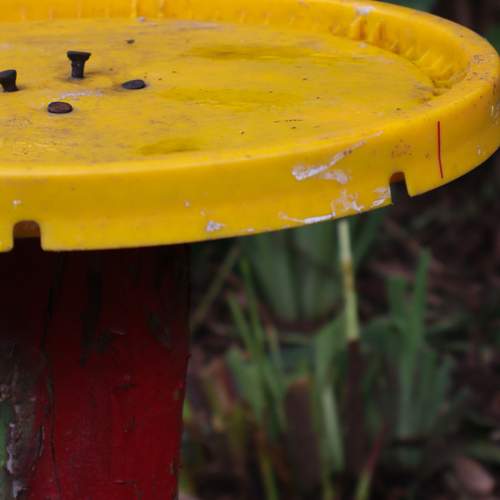 Photo #13439095