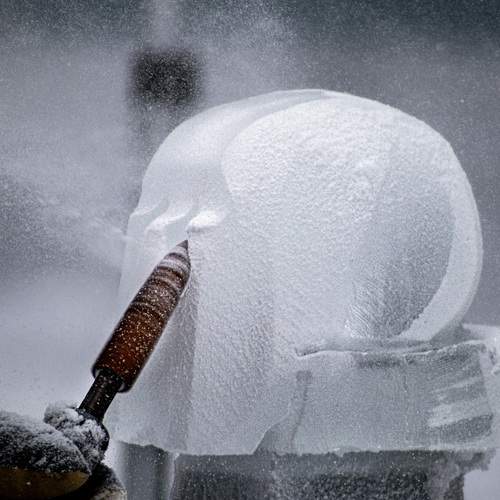 Photo #13439170