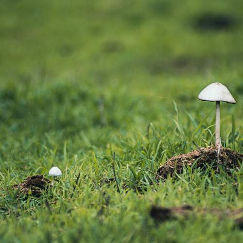 Photo #13439188