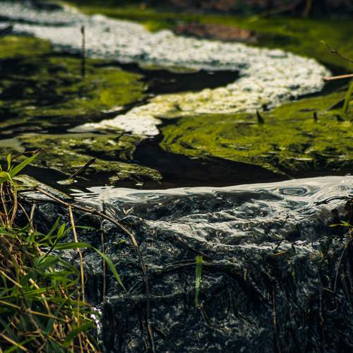 Photo #13439189