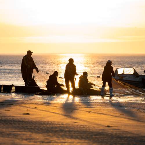 Photo #13439245