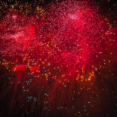 Photo #13439250