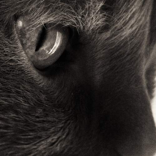 Photo #13439401