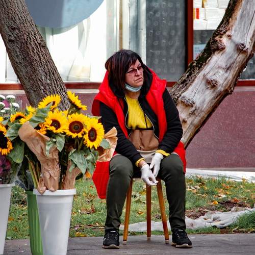 Photo #13439773