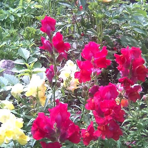 Photo #13439846