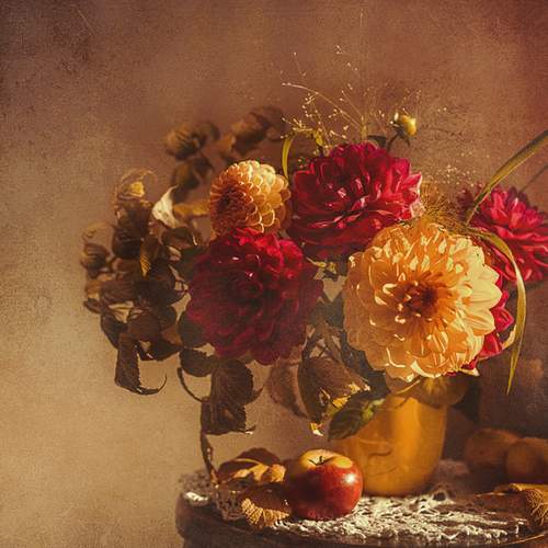 Photo #13439943