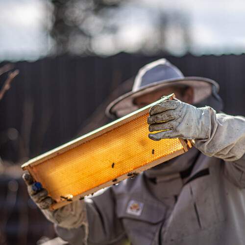 Photo #13440022