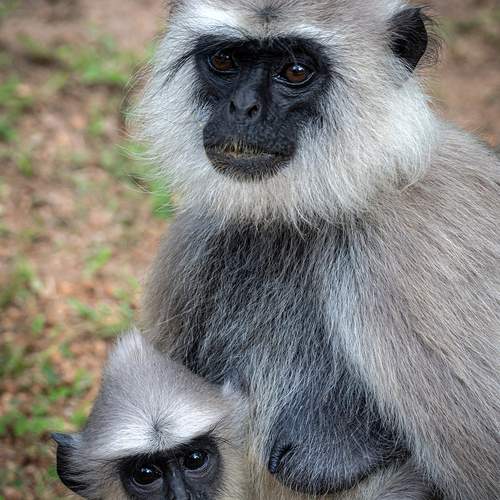 Photo #13440056