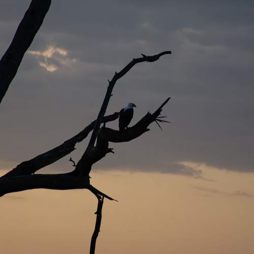 Photo #13440095