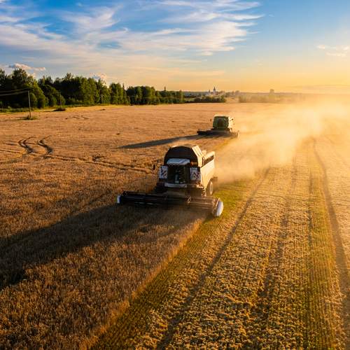 Фотография #13440174