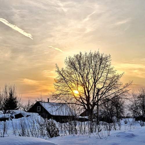 Photo #13440356