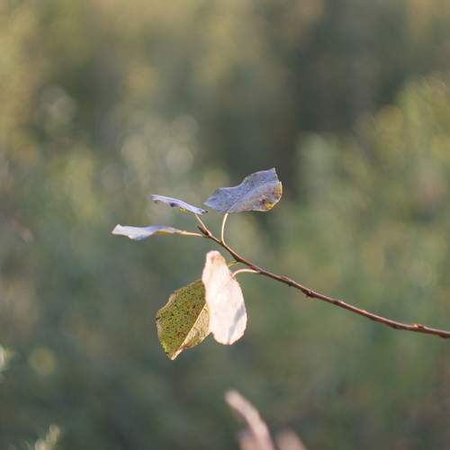 Photo #13440551