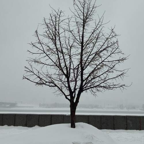 Photo #13440569