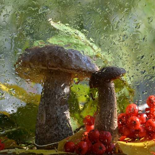 Photo #13440670
