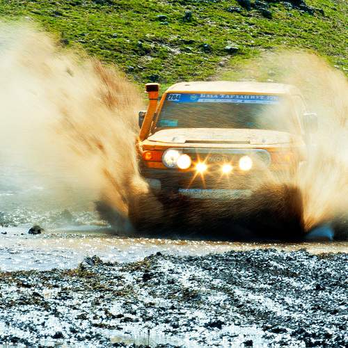 Photo #13440895