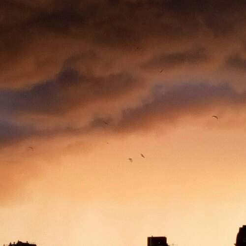Photo #13440923