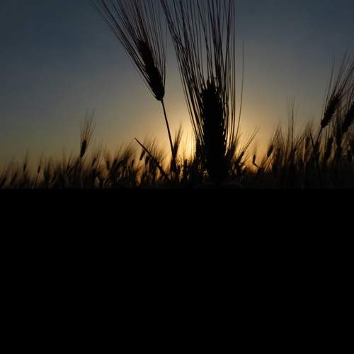 Photo #13441159