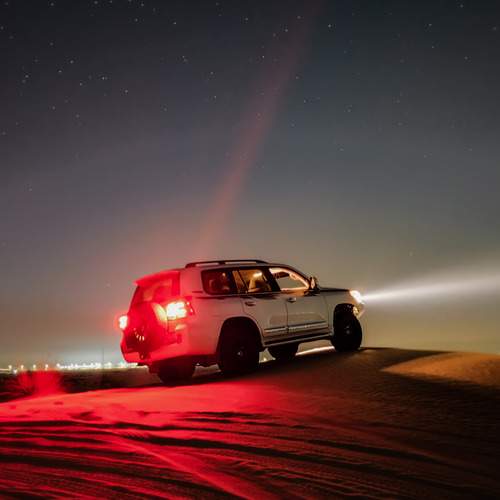 Photo #13441212
