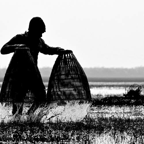 Catch The Fish with two hand