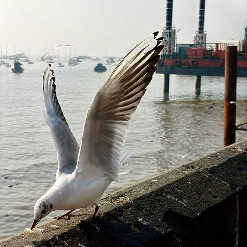 Photo #13442109