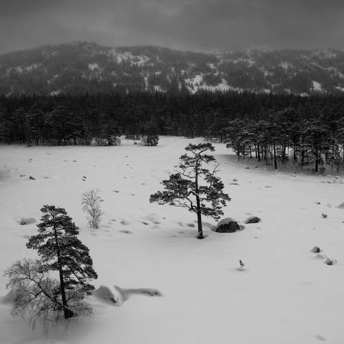 Photo #13442123