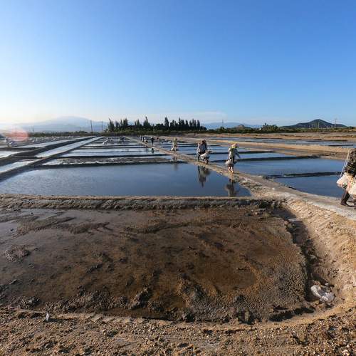 Соленые поля