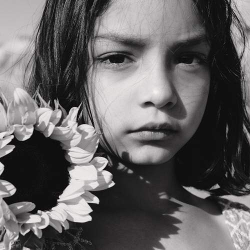 Photo #13442463